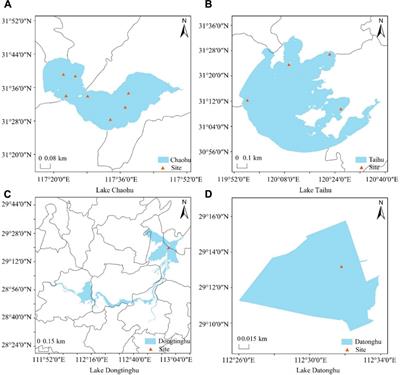 Near real-time retrieval of lake surface water temperature using Himawari-8 satellite imagery and machine learning techniques: a case study in the Yangtze River Basin